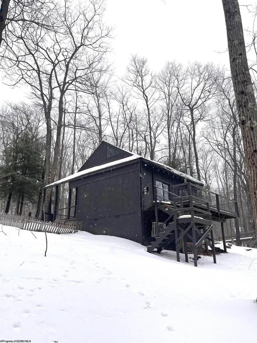 952 Rhododendron Drive, Terra Alta, WV 26764 - #3