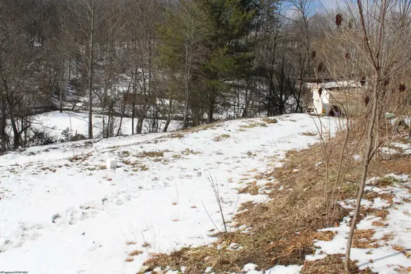 190 Coon Creek Road, Camden on Gauley, WV 26208