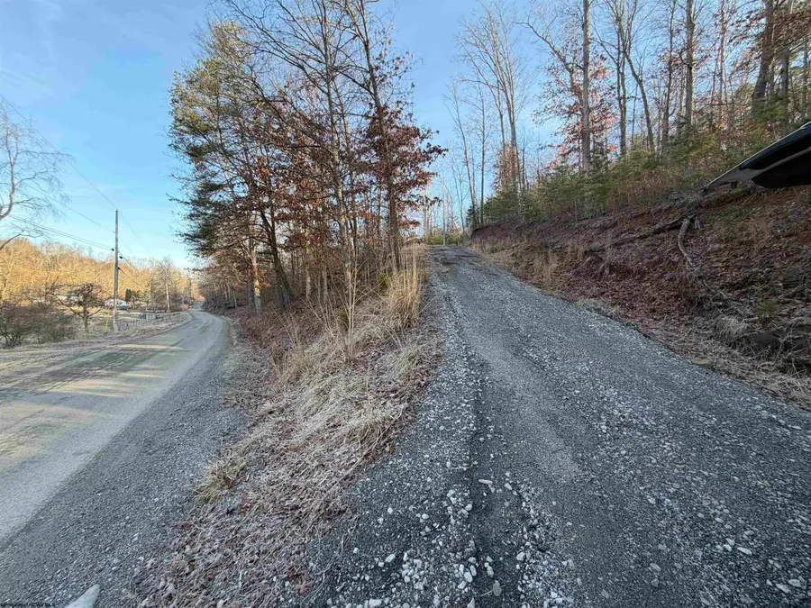 796 Bear Run Road, Cairo, WV 26337 - #2