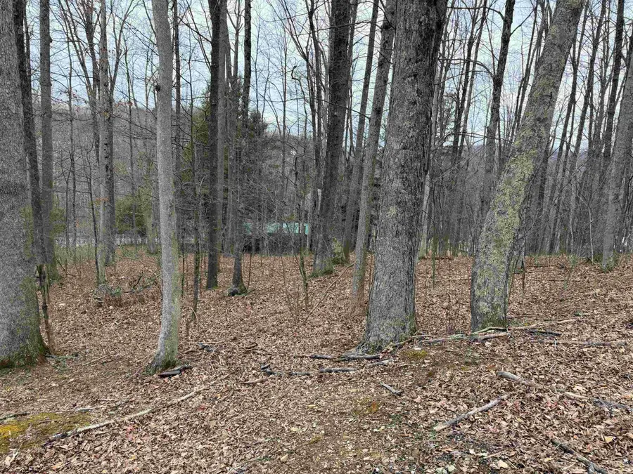 TBD Elliott Avenue, Belington, WV 26250 - #2