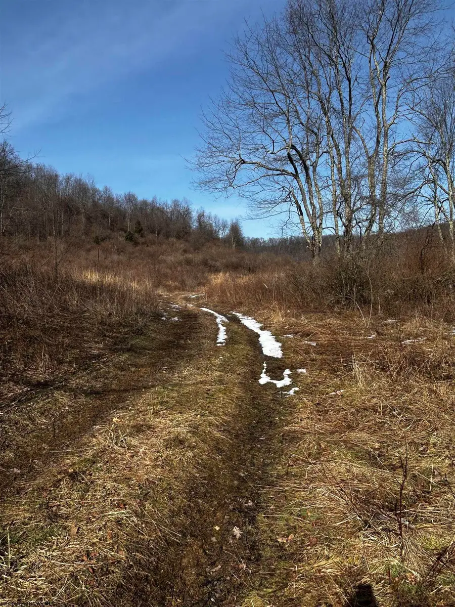 92 Coyote Lane, Belington, WV 26250 - #3