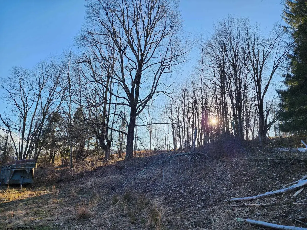 169 Wilma Lee Memorial Drive, Bowden, WV 26254 - #1