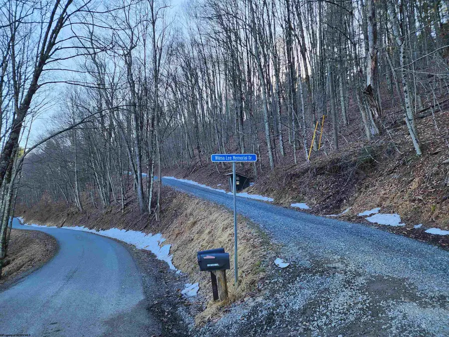 169 Wilma Lee Memorial Drive, Bowden, WV 26254 - #2