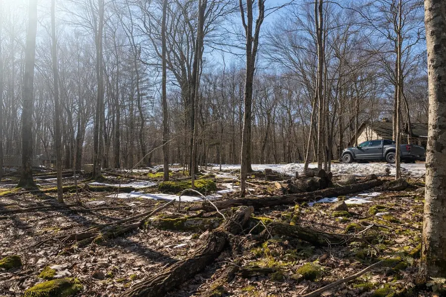 0 E Alpine Drive, Terra Alta, WV 26764 - #2