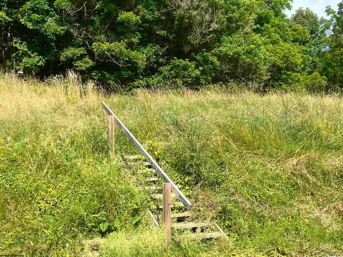 7337 Old Mill Road, Jane Lew, WV 26378 - #1