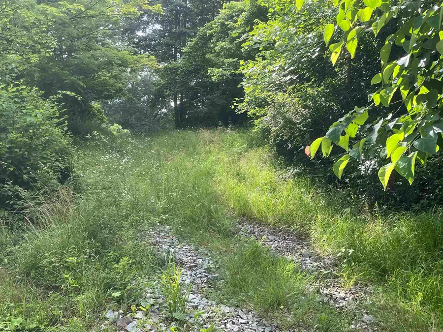 7337 Old Mill Road, Jane Lew, WV 26378 - #3