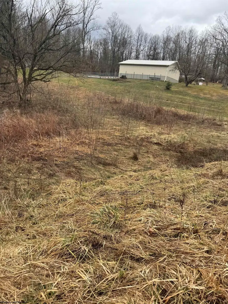 TBD Sunshine Road, Rachel, WV 26587 - #2
