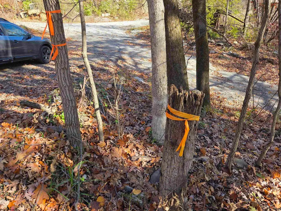 0 Old Cheat Road, Morgantown, WV 26508 - #3