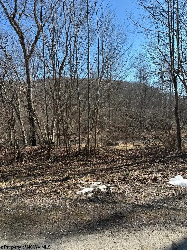 TBD Newlonton Road, Second, WV 26236 - #3