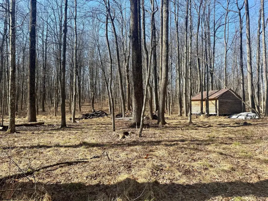 0 Ludwig Road, Grafton, WV 26354 - #2