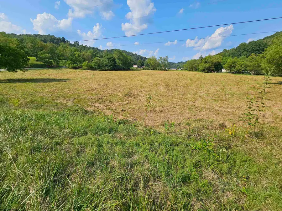 TBD Dutch Hollow Road, Weston, WV 26452 - #2