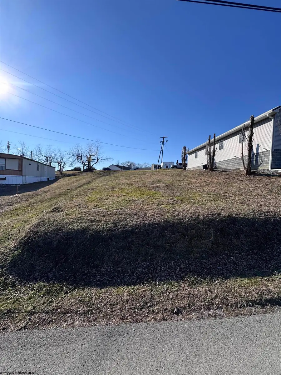 127 Court Street, Jane Lew, WV 26378 - #3