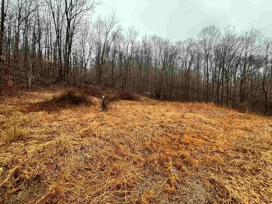 TBD Jonestown Mt Liberty Road, Philippi, WV 26416 - #2