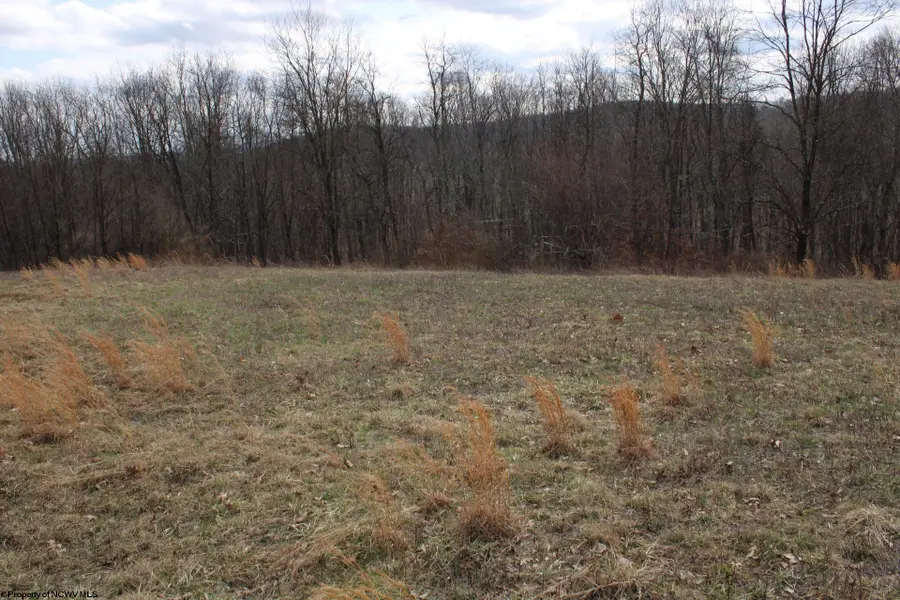 Lot 9 Cascade Ridge, Masontown, WV 26542 - #2