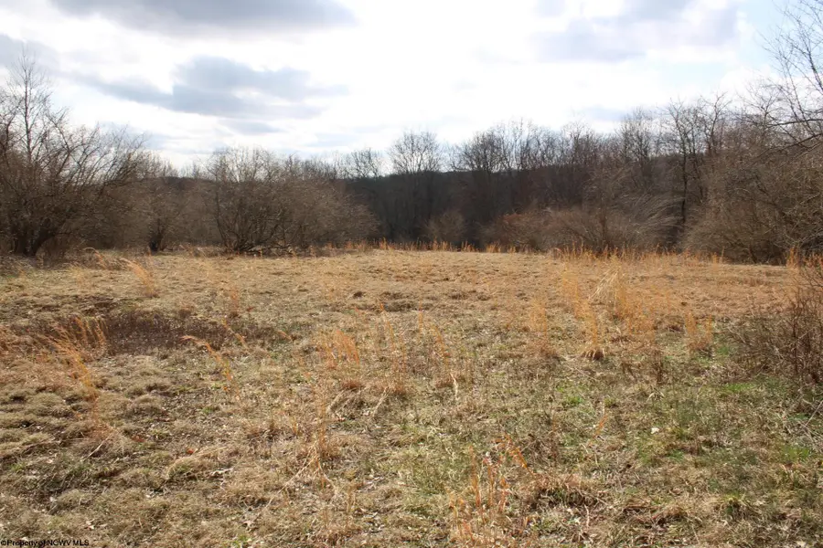 Lot 9 Cascade Ridge, Masontown, WV 26542 - #3