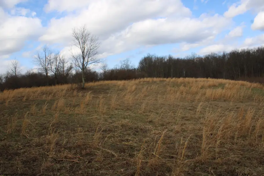 Lot 10 Cascade Ridge, Masontown, WV 26542 - #3