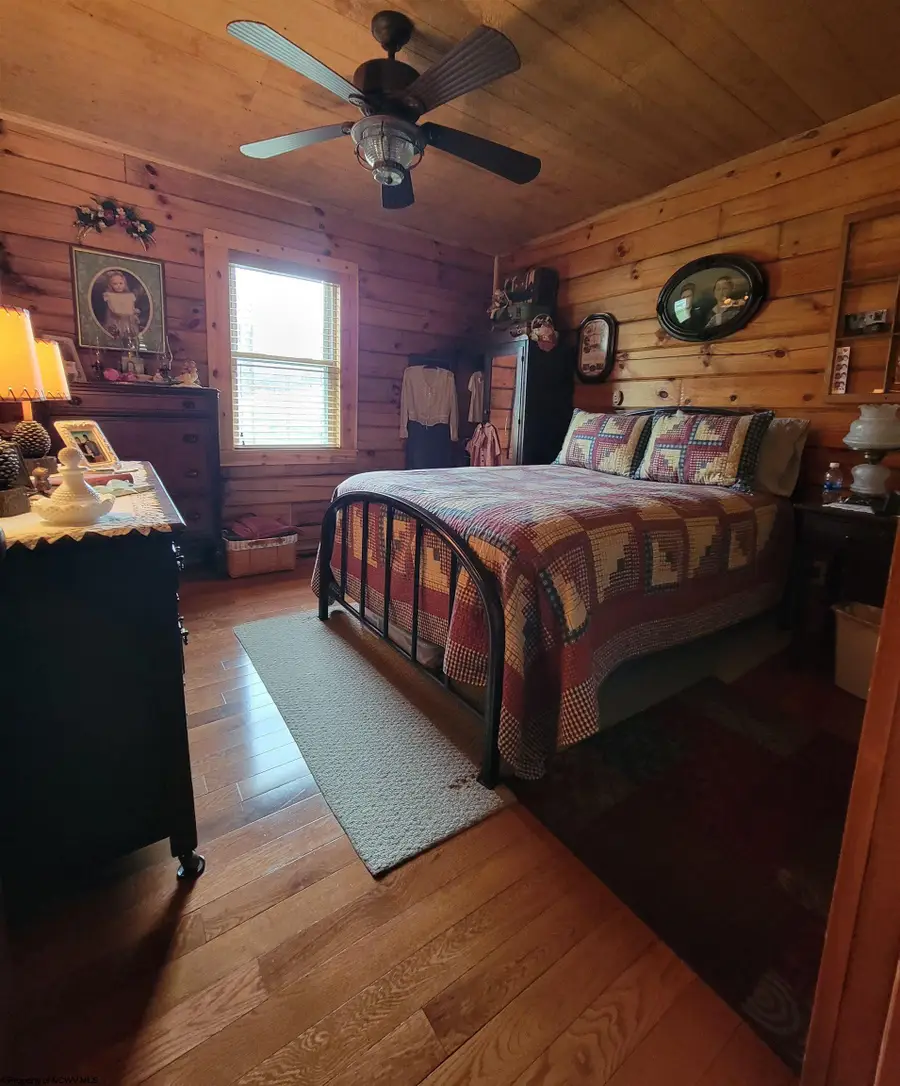 111 Cravens Run, Leadsville, WV 26421 - #3