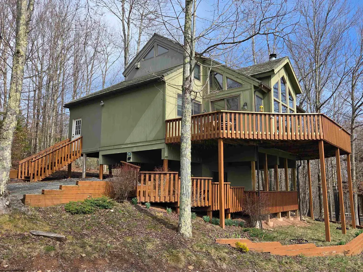 111 Treetop Lane, Davis, WV 26260 - #1