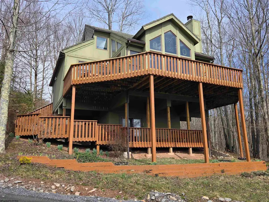 111 Treetop Lane, Davis, WV 26260 - #2