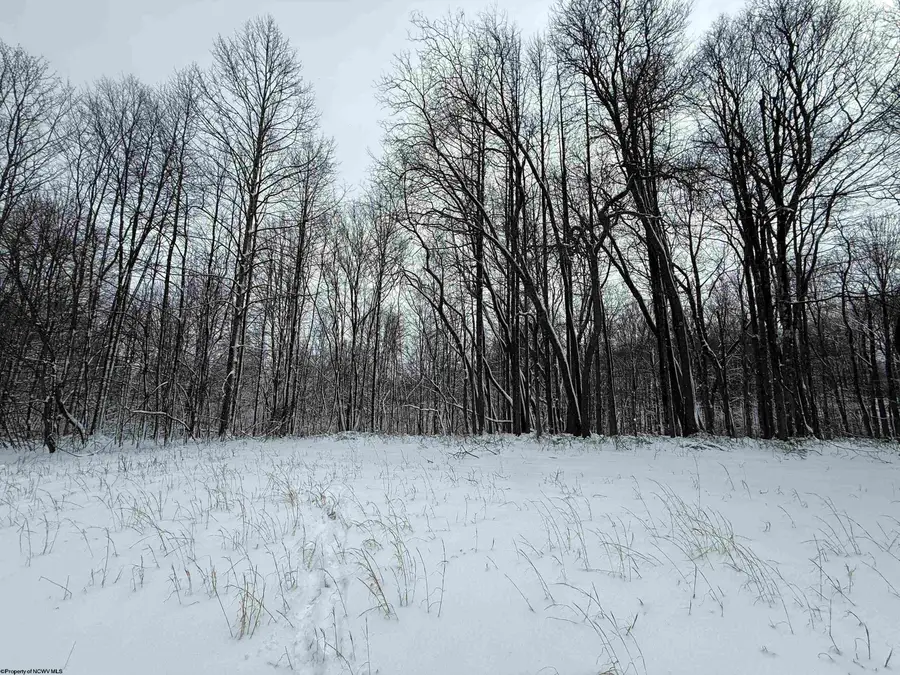 TBD Silver Oak Lane, Belington, WV 26250 - #2