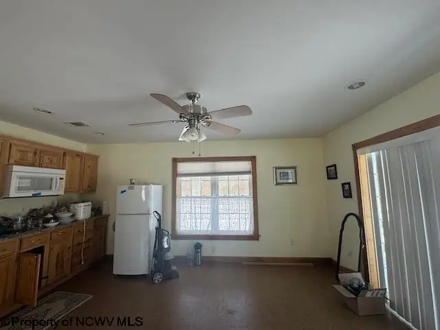 312 Galilee Road, Bruceton Mills, WV 26525 - #3