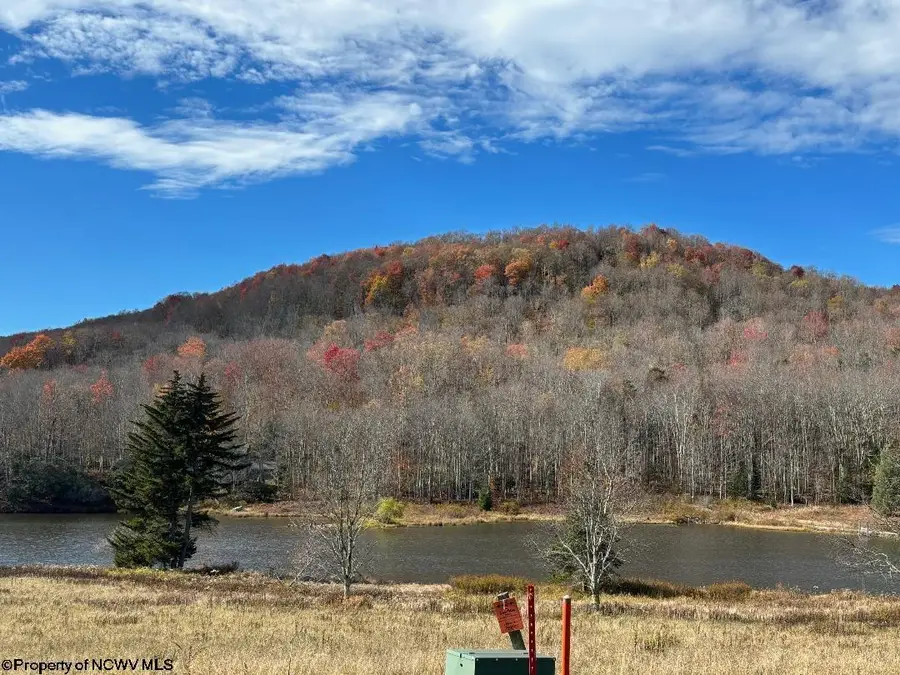 32 Waterfront Drive, Davis, WV 26260 - #3