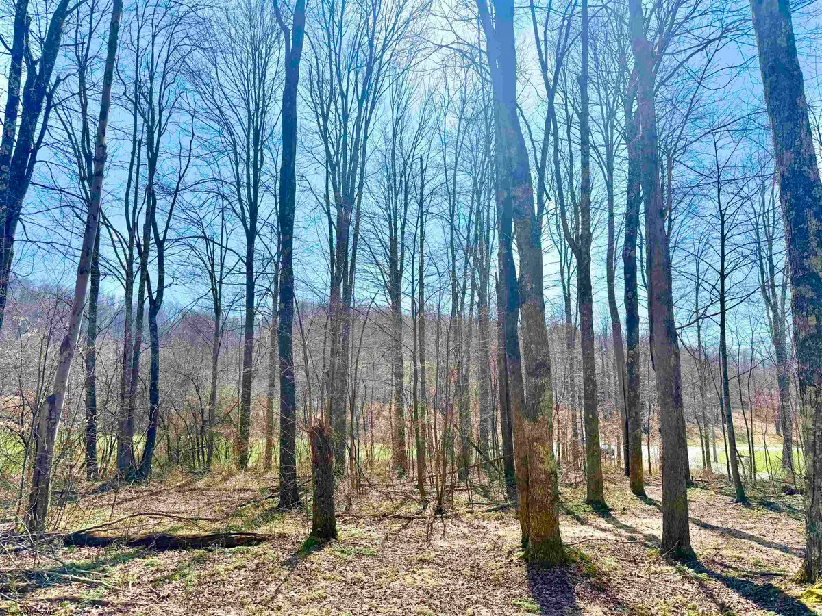 Lot 21 POPLAR Drive, Grafton, WV 26354 - #1