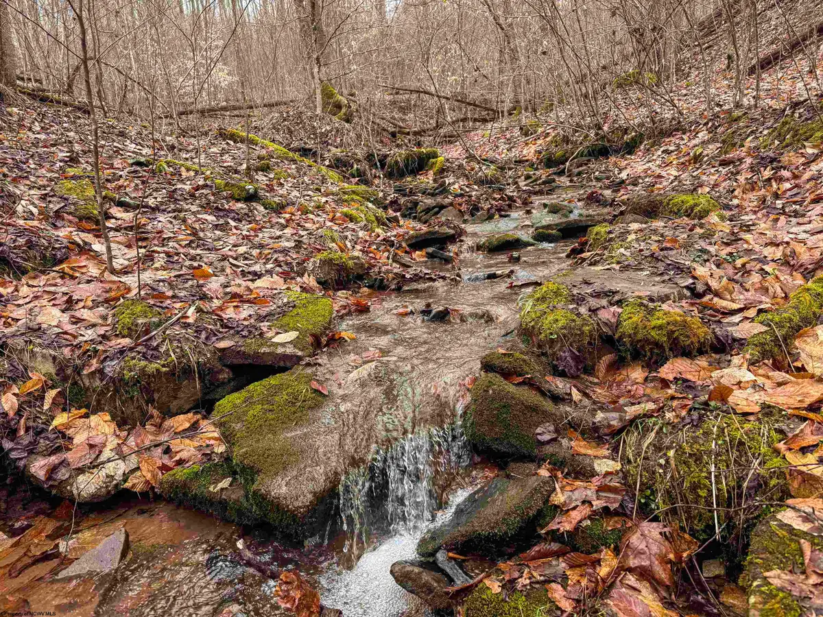 Lot 1 Red Rock Road, Rowlesburg, WV 26425 - #1