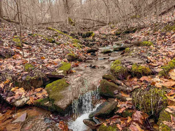 Lot 1 Red Rock Road, Rowlesburg, WV 26425