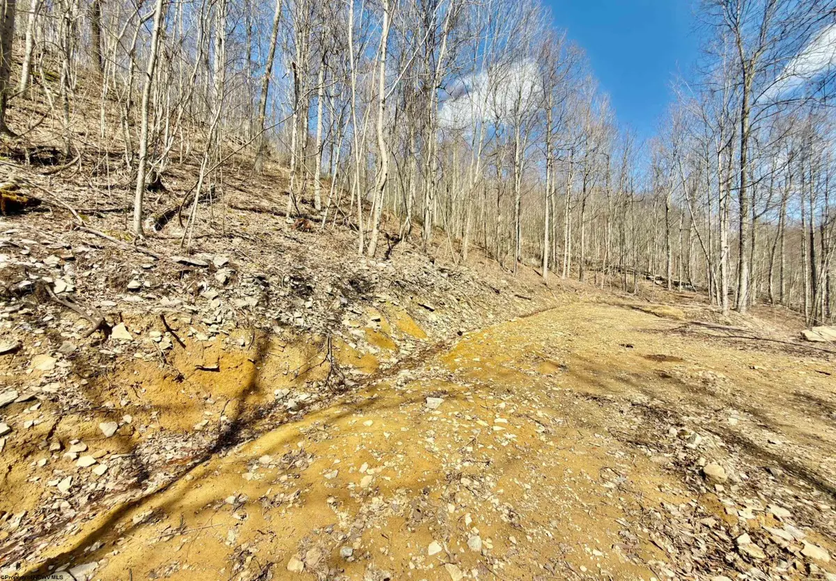 Lot 9 Brooklyn Way, Moatsville, WV 26405 - #1