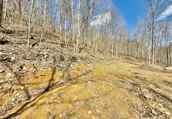 Lot 9 Brooklyn Way, Moatsville, WV 26405