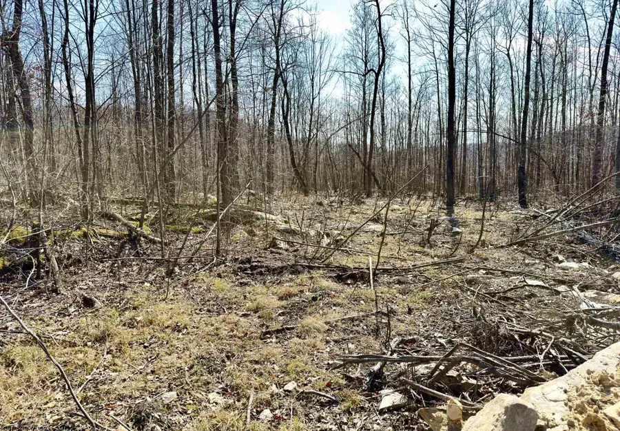 Lot 7 Brooklyn Way, Moatsville, WV 26405 - #2