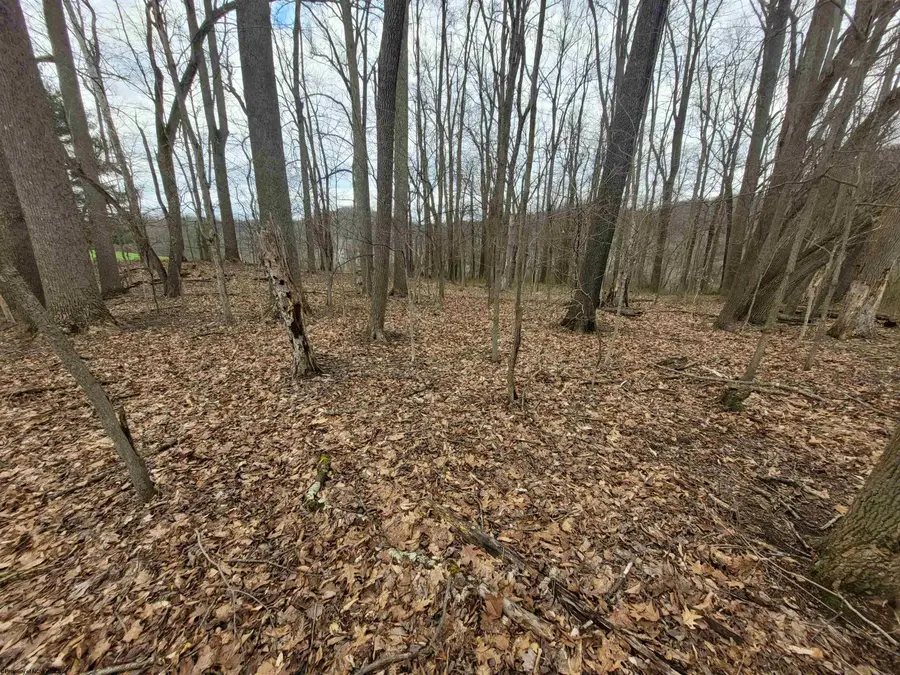 00 Trolley Car Road, Clarksburg, WV 26301 - #2