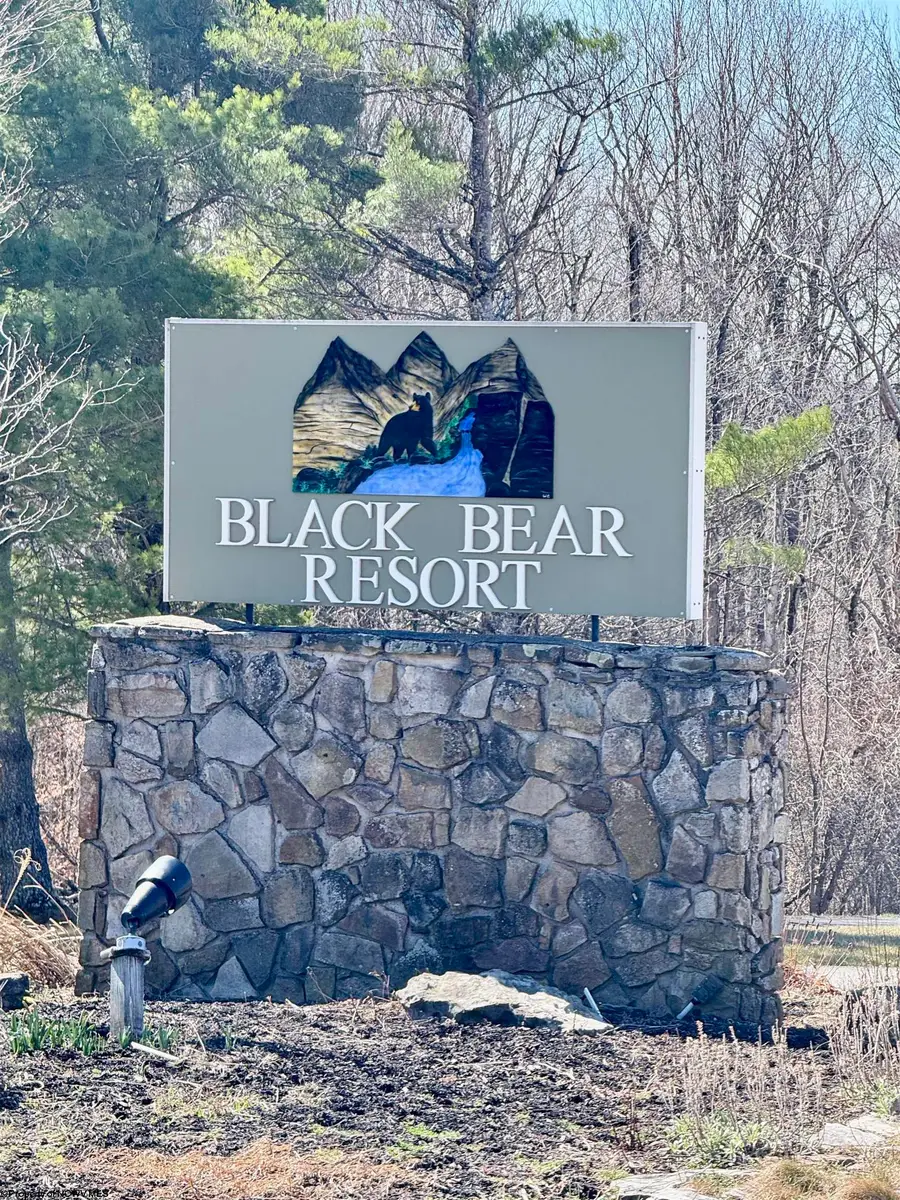 21 Bear Lair Lane, Davis, WV 26260 - #2