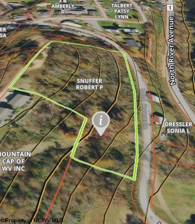 TBD Mid Avenue, Weston, WV 26452 - #3