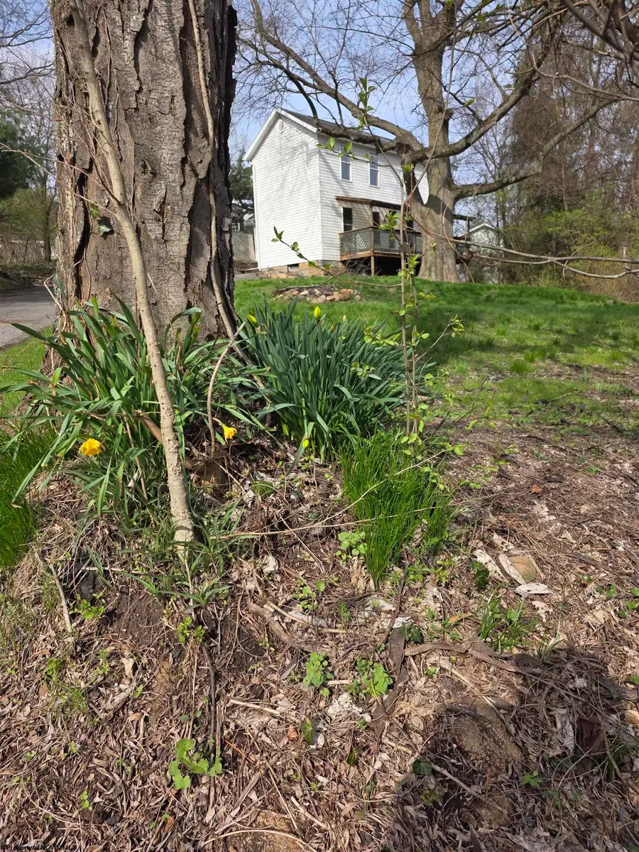 1326 Montrose Avenue, Morgantown, WV 26505 - #2