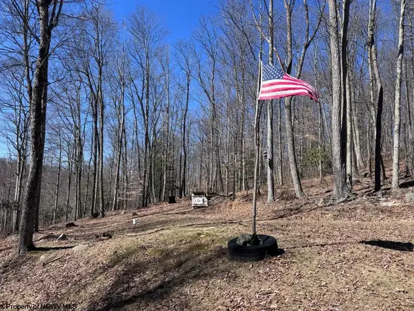 863 Jackson Ford Road, Tallmansville, WV 26237