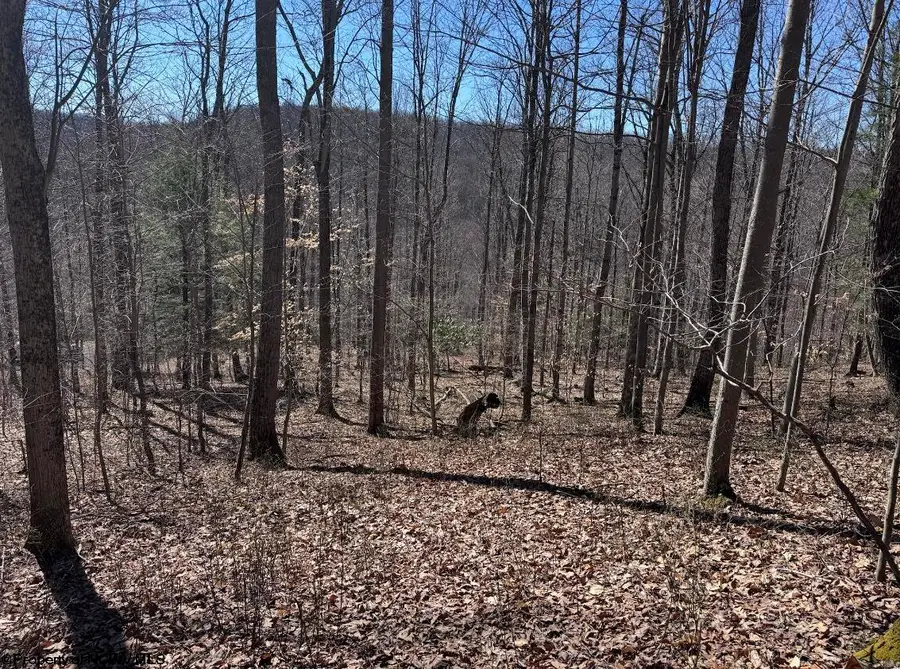 863 Jackson Ford Road, Tallmansville, WV 26237 - #2