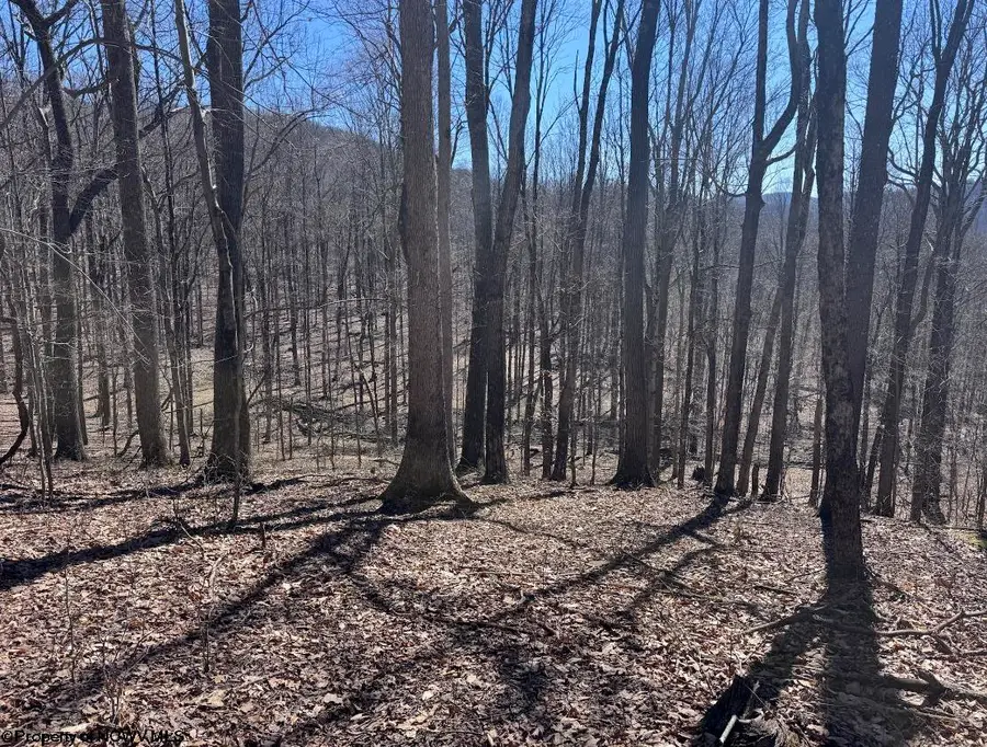 863 Jackson Ford Road, Tallmansville, WV 26237 - #3