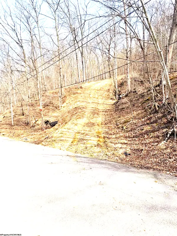 tbd Pine Grove Road, Fairmont, WV 26554