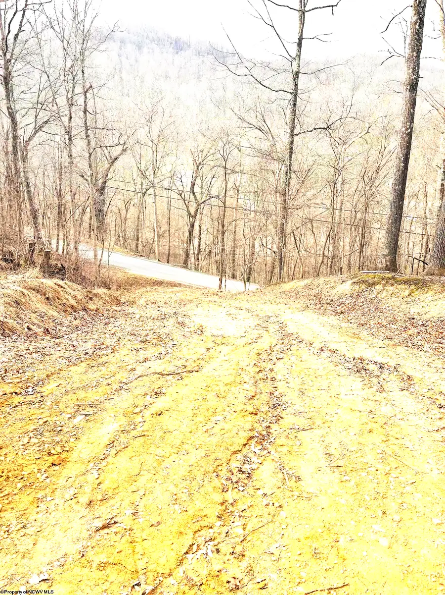tbd Pine Grove Road, Fairmont, WV 26554 - #2