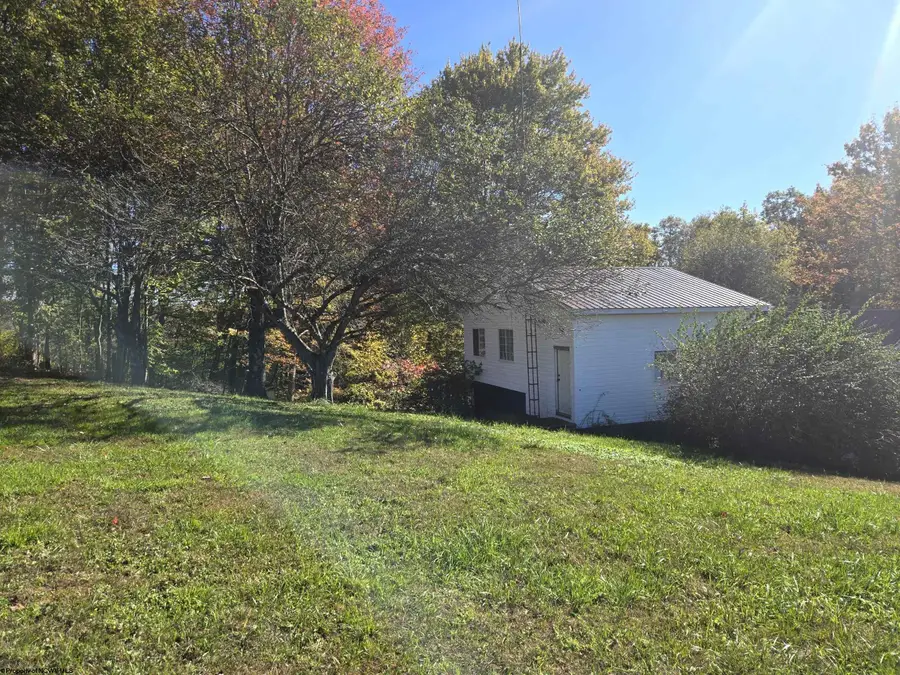 540 Cherry Run Road, Craigsville, WV 26205 - #3