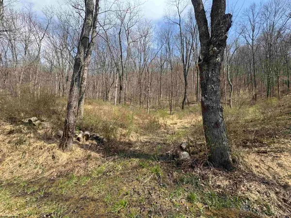 Lot 4 Jesse's Run Road, Fairview, WV 26570