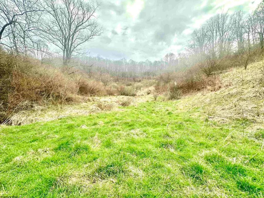 496 Dillon Hollow Road, Jane Lew, WV 26378 - #2