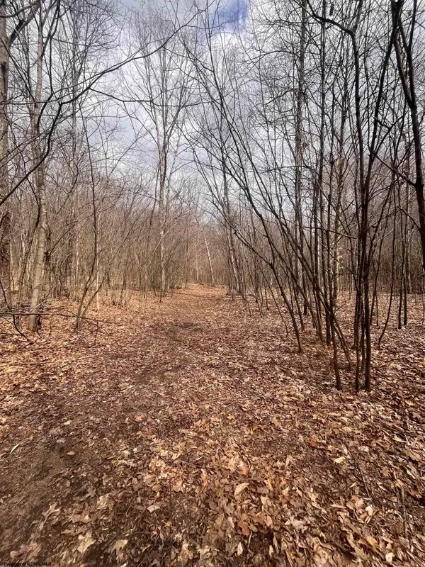 TBD Sugar Valley Road, Bruceton Mills, WV 26525