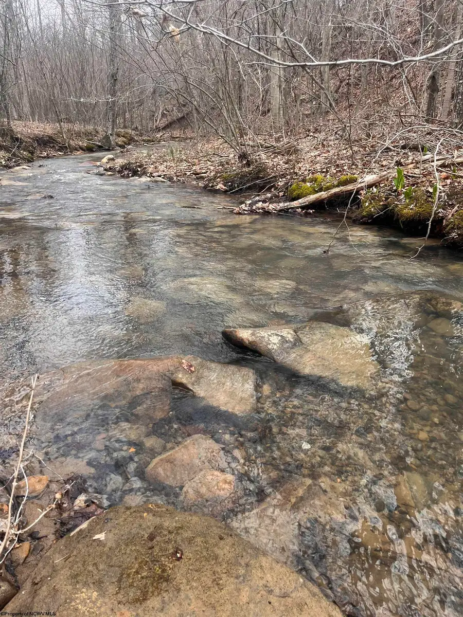 TBD Sugar Valley Road, Bruceton Mills, WV 26525 - #3