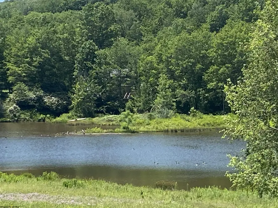34 Mallow Lake Drive, Davis, WV 26260 - #3