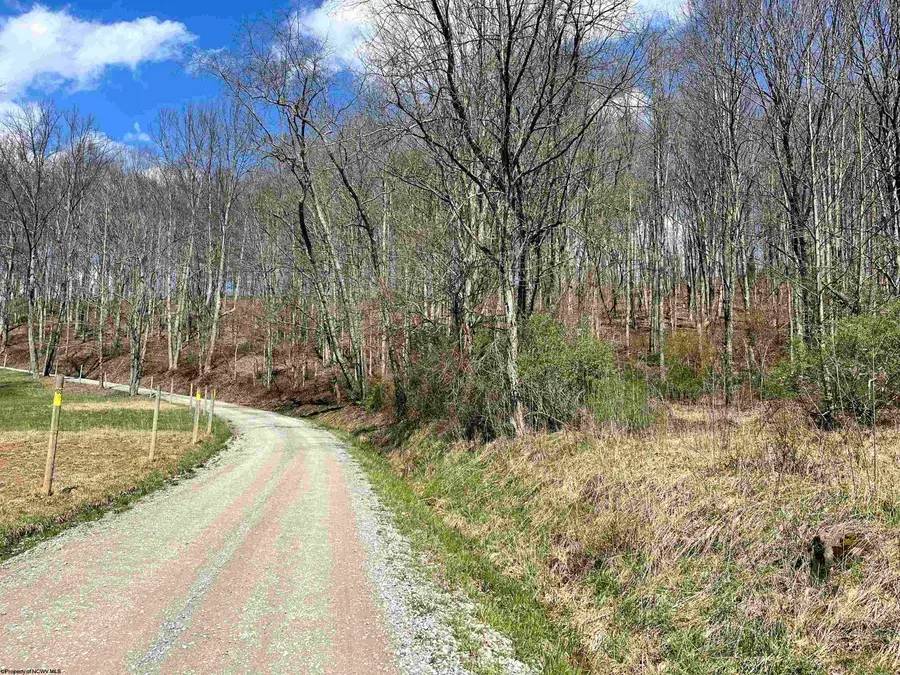 0 Herb Hyre Road, French Creek, WV 26218 - #2