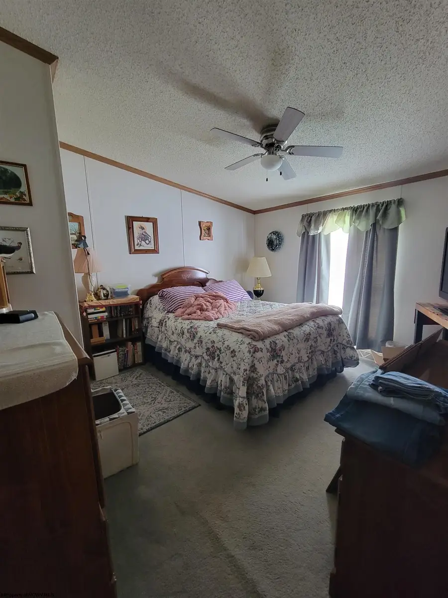 42 Gate Lane, Elkins, WV 26241 - #2