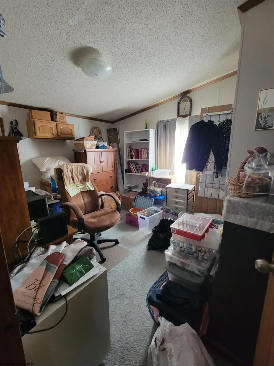 42 Gate Lane, Elkins, WV 26241 - #3